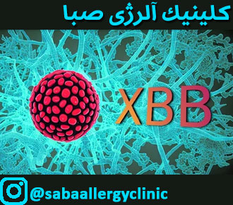 XBB چیست
